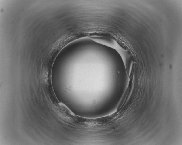 X0000086780693200704131215