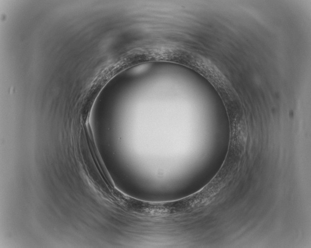 X0000086780694200704131215