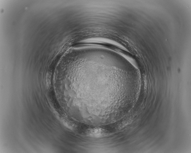 X0000086780695200704131215