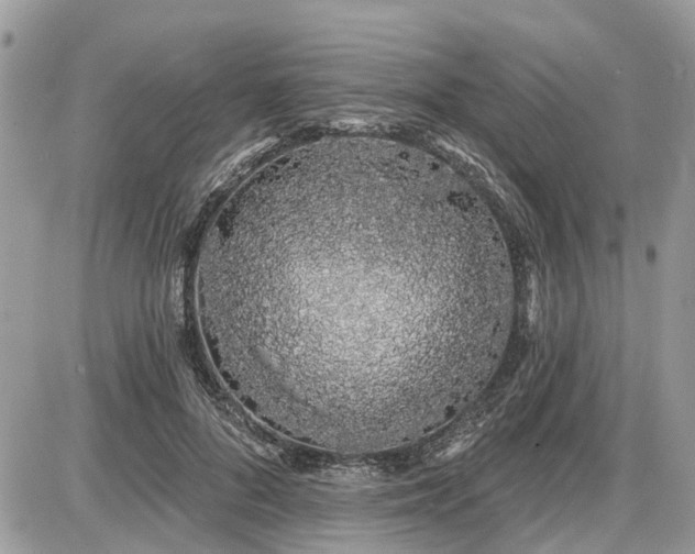 X0000086780696200704131215