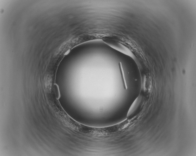 X0000086780697200704131214