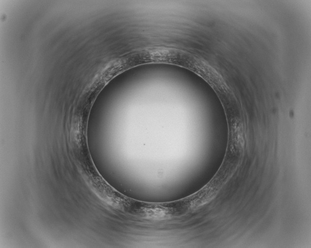 X0000086780698200704131214