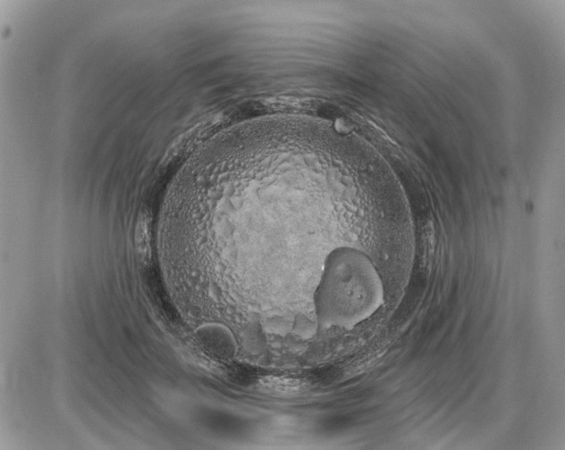 X0000086780699200704131214