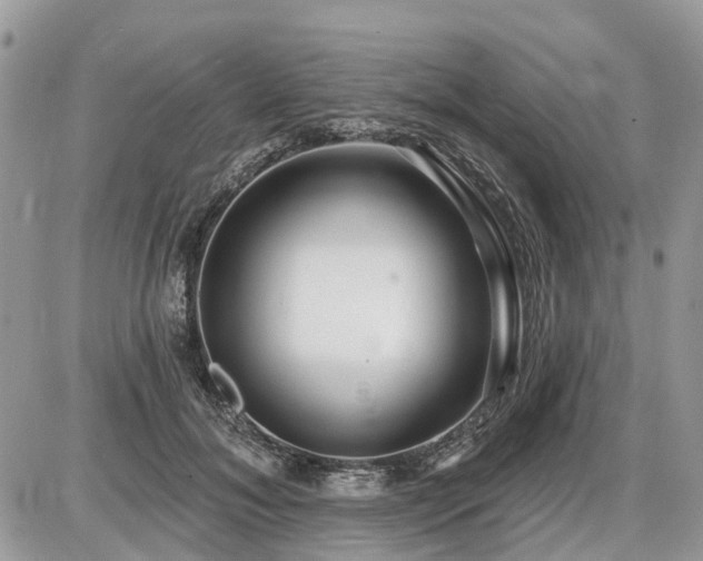 X0000086780700200704131214