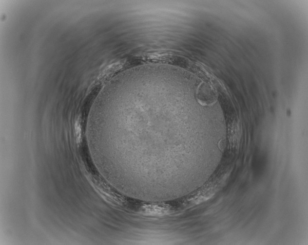 X0000086780703200704131214