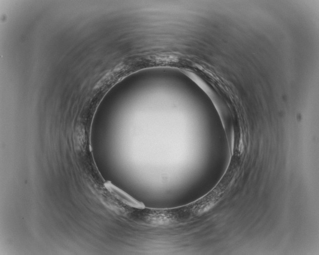 X0000086780704200704131214