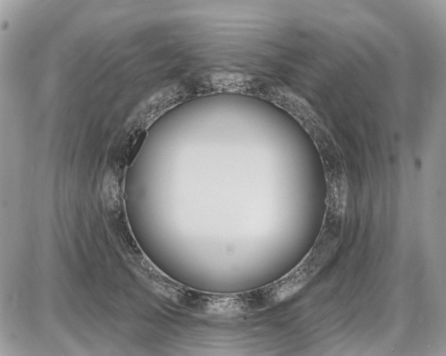 X0000086780705200704131214