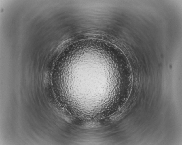 X0000086780708200704131214