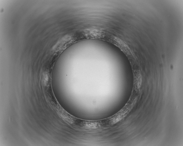 X0000086780709200704131214