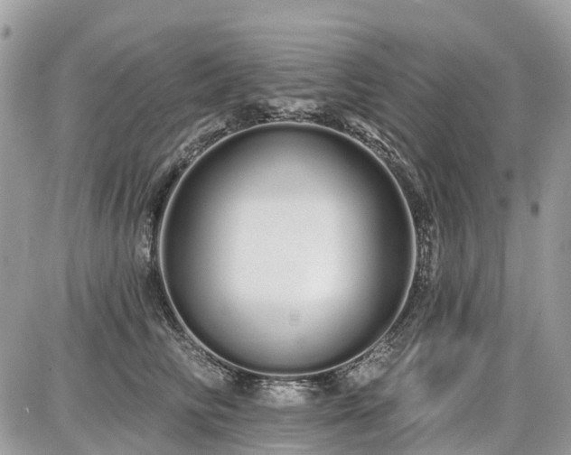 X0000086780710200704131214