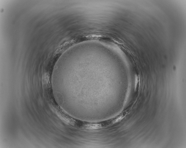 X0000086780711200704131214