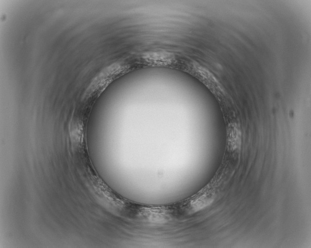 X0000086780713200704131214