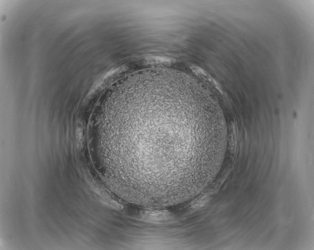 X0000086780716200704131214