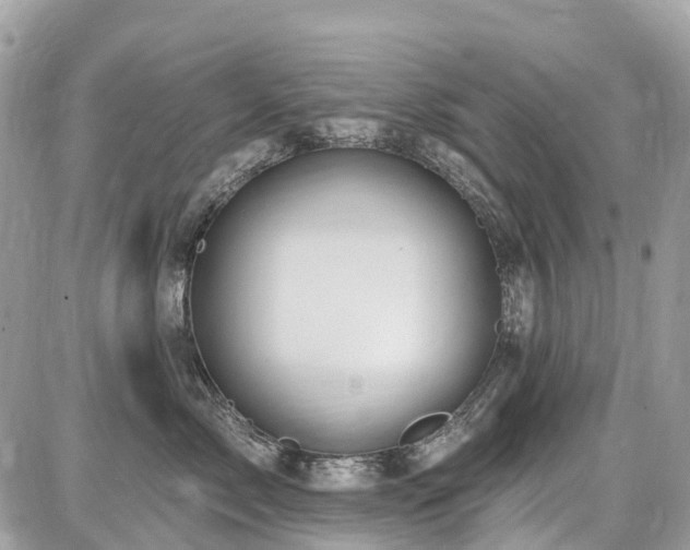 X0000086780717200704131214