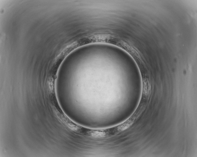 X0000086780718200704131214