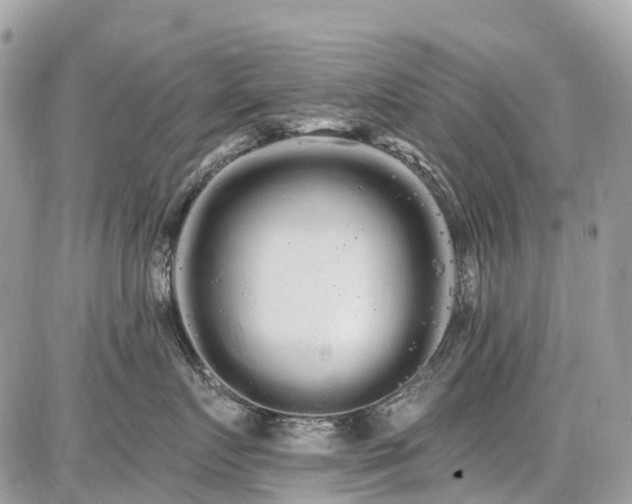 X0000086780719200704131214