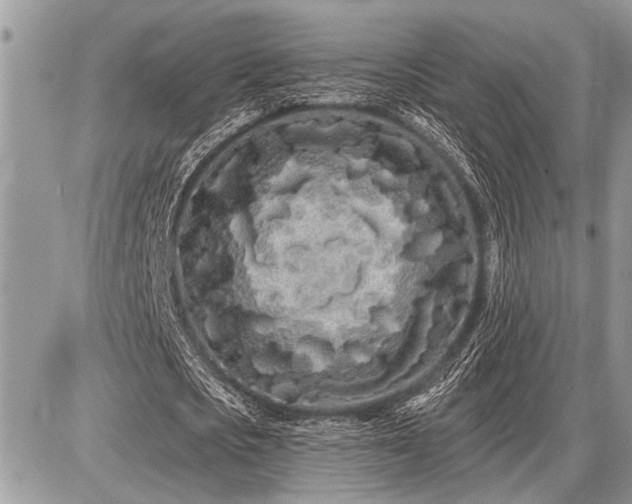 X0000086780721200704131213