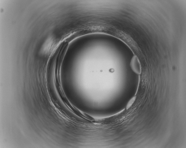 X0000086780722200704131213