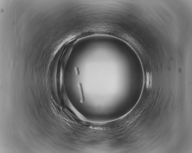 X0000086780723200704131213