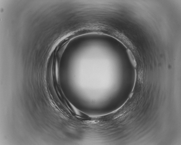 X0000086780724200704131213