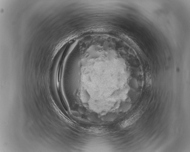 X0000086780725200704131213