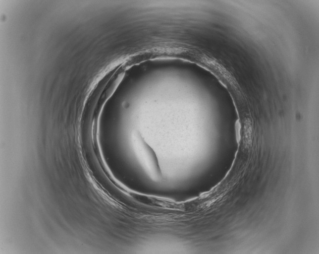 X0000086780726200704131213