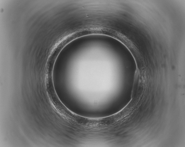 X0000086780728200704131213