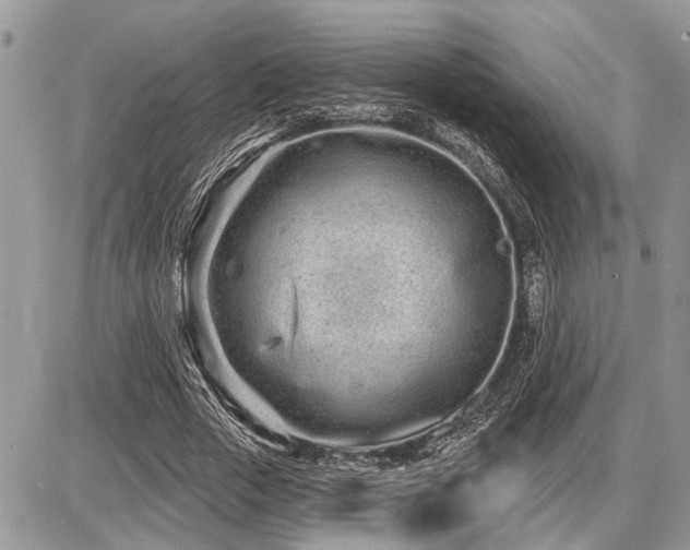 X0000086780729200704131213