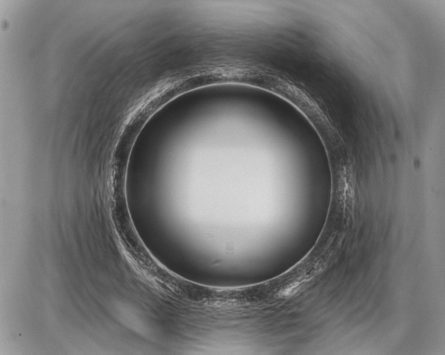 X0000086780730200704131213