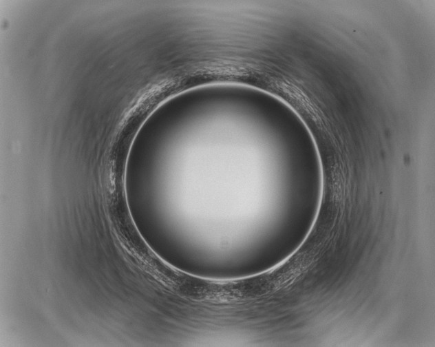 X0000086780731200704131213