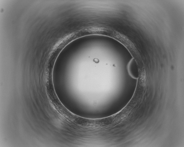 X0000086780732200704131213