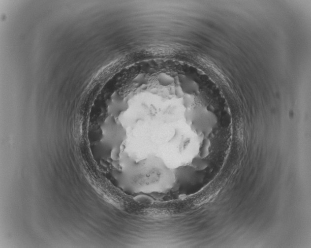 X0000086780733200704131214