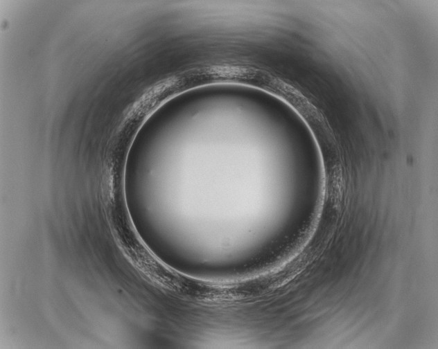 X0000086780734200704131214