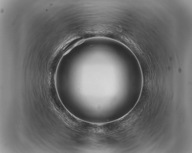 X0000086780735200704131214