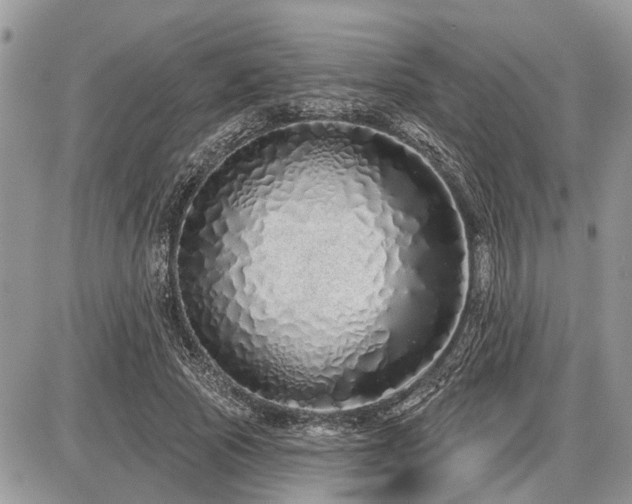 X0000086780737200704131214