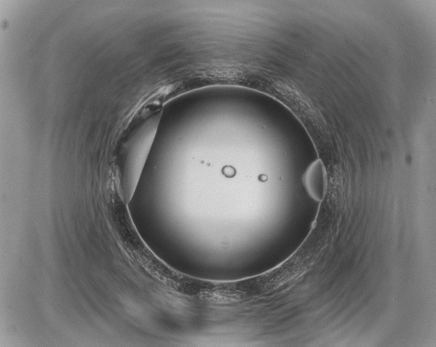 X0000086780739200704131214