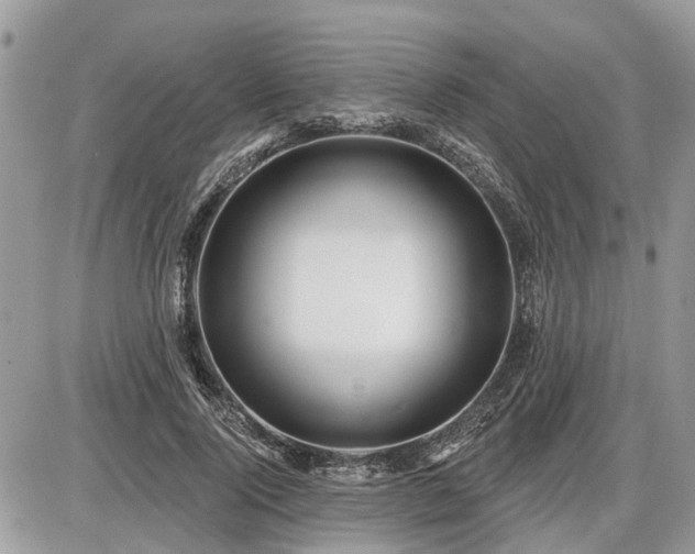 X0000086780740200704131214