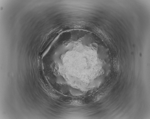 X0000086780741200704131214