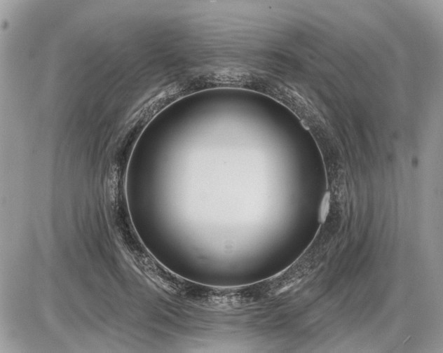 X0000086780744200704131214