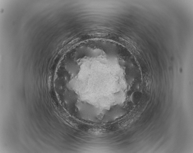 X0000086780745200704131214