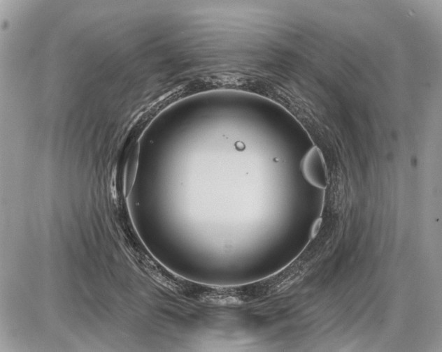 X0000086780747200704131214