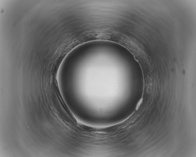 X0000086780748200704131214