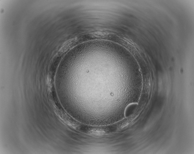 X0000086780749200704131214