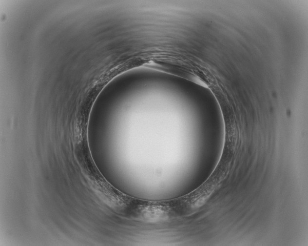 X0000086780751200704131214