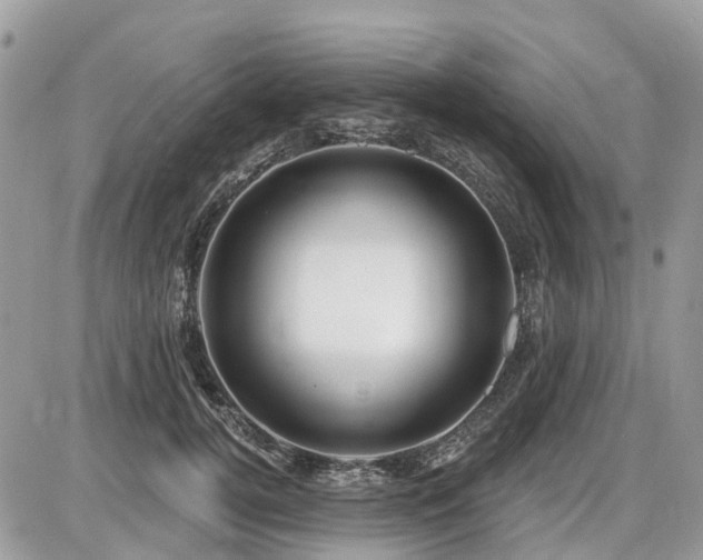 X0000086780752200704131214