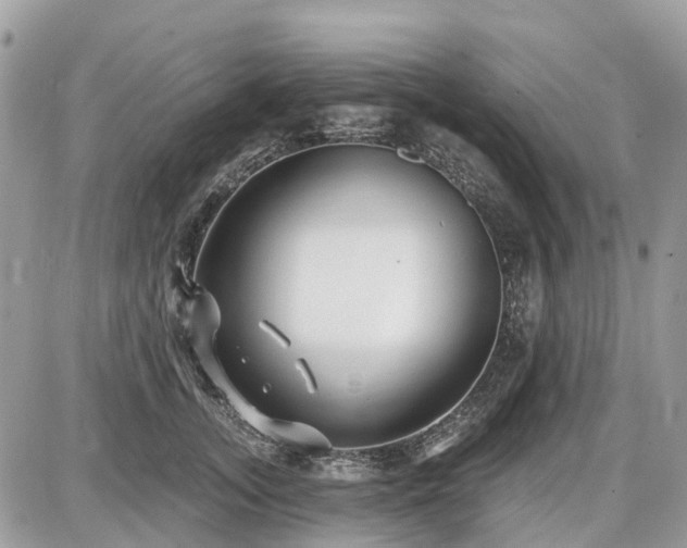 X0000086780755200704131214