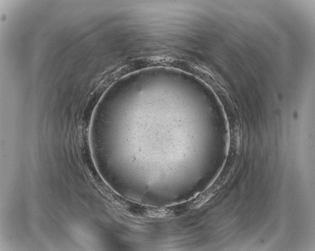 X0000086780757200704131214