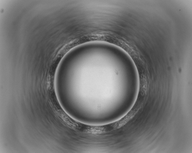 X0000086780758200704131214