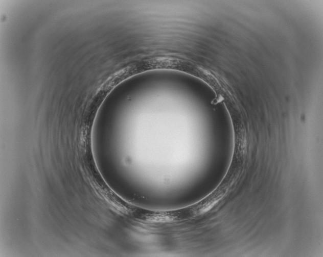 X0000086780759200704131214