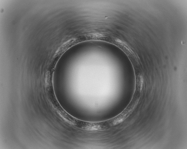 X0000086780760200704131214